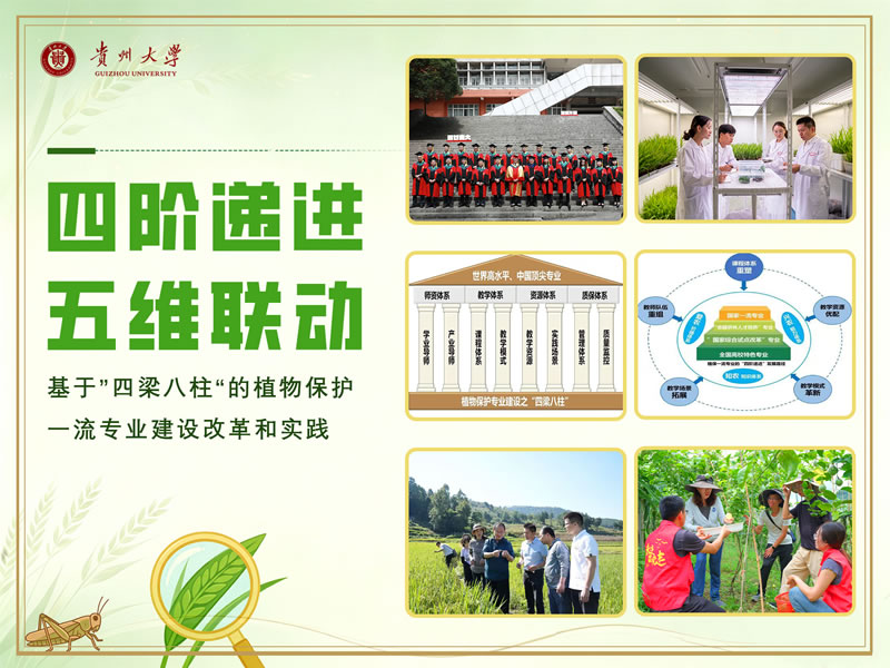四阶递进五维联动基于四梁八柱的植物保护一流专业建设改革与实践